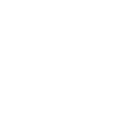 cat-icon