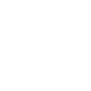 cat-icon