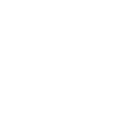 cat-icon