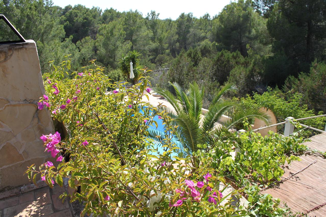 Villa Micasa