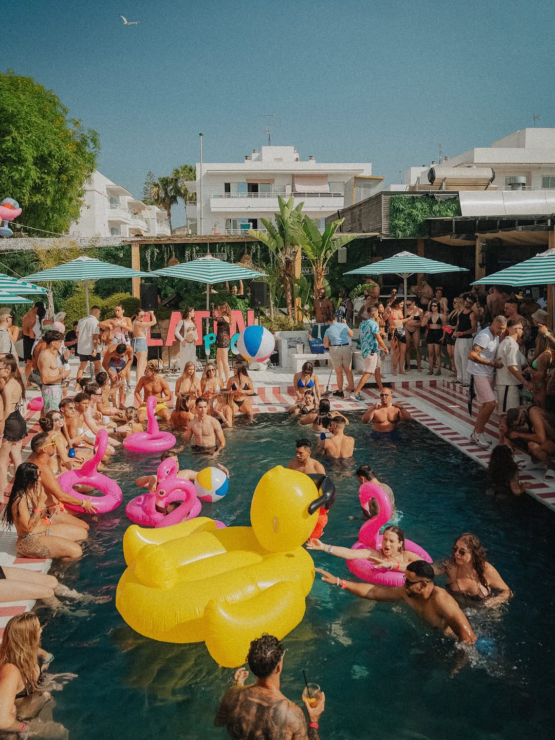 Bambuku Ibiza